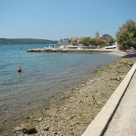 Pinus Pirovac