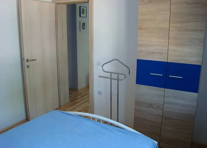 Pinus * ピロヴァッツ