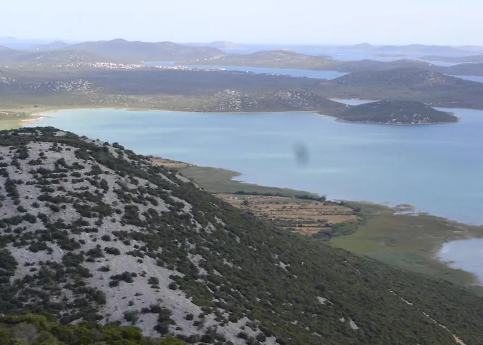 Pinus ピロヴァッツ